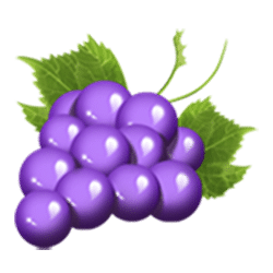 Icon 3 Fruityliner Joker