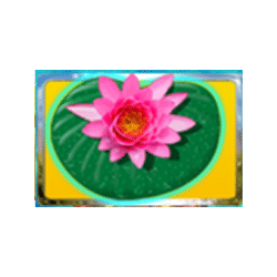 Wild Symbol of Frog Creek Slot