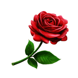 Icon 6 The Mighty Toro