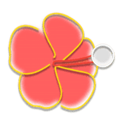 Icon 12 Cuba Caliente