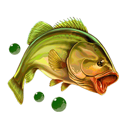 Icon 5 Wild Survivor