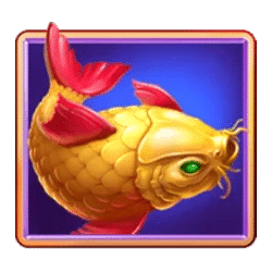 Icon 3 Luck of Tiger: Bonus Combo