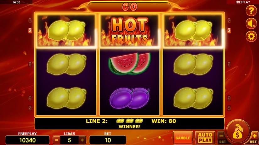 Hot Fruits Deluxe slot screen 4
