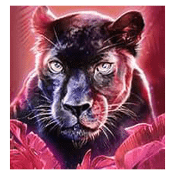 Icon 3 Big Cat Rescue MegaWays