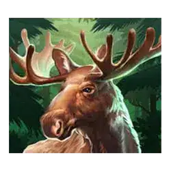 Icon 4 Bison Rising Megaways Build A Bonus