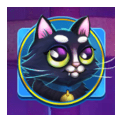 Icon 3 Here Kitty Kitty