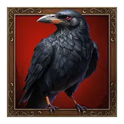 Icon 3 Jack O’Wild