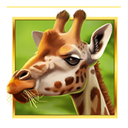 Icon 4 Serengeti Sunset