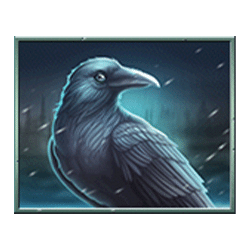 Icon 6 Vikings Winter