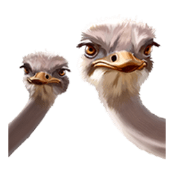 Icon 8 Serengeti Sunset