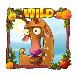 Wild Symbol of Seasons Slot