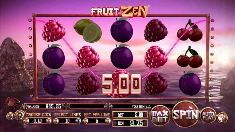Fruit Zen slot screen 4