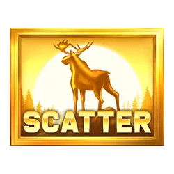Scatter of Money Moose Slot