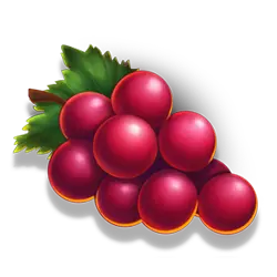 Icon 6 Blazing Coins Hold and Win