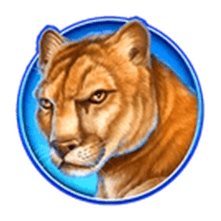 Icon 6 Diamond Link Mighty Buffalo