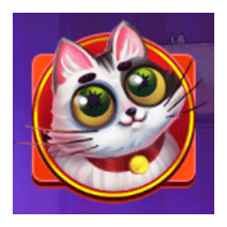 Icon 2 Here Kitty Kitty