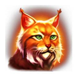 Icon 4 Black Wolf Hold and Win