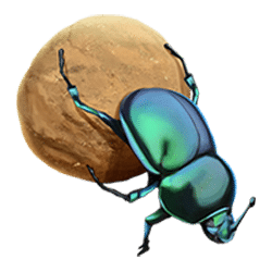 Icon 12 Serengeti Sunset