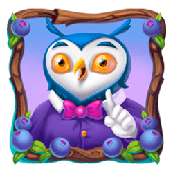 Icon 3 Hooties Fortune