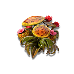 Icon 5 Back to Venus