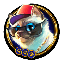 Icon 4 The Catfather Part II