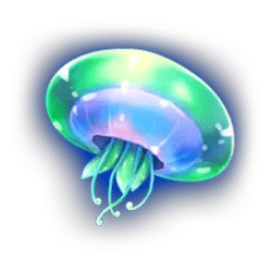 Icon 5 Pearls Pearls Pearls