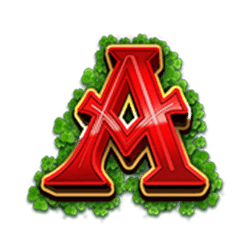 Icon 6 Irish Treasures