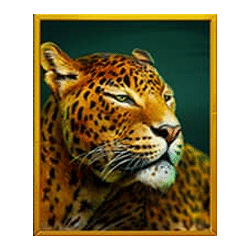 Icon 2 Silverback Multiplier Mountain