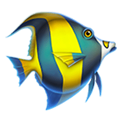 Icon 3 Dolphin’s Wealth Fortune