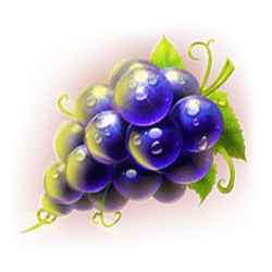 Icon 9 Double Joker Hold and Win