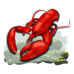 Icon 1 Dolphin’s Luck 2