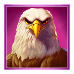 Icon 1 Buffalo’s Sun