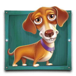 Icon 4 The Dog House