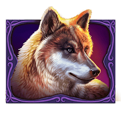 Icon 5 Wild Bison Charge