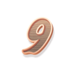 Icon 12 Ninja Raccoon Frenzy