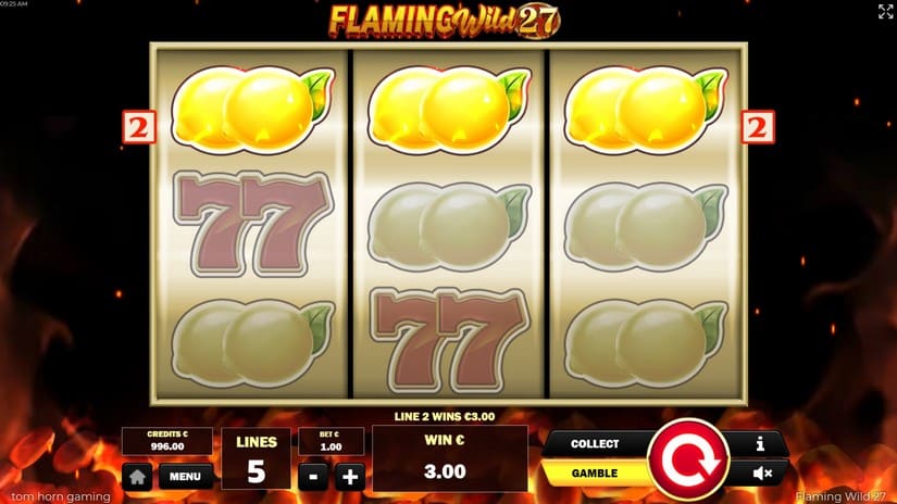 Flaming Wild 27 slot screen 2