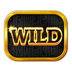 Wild Symbol of 3 Coins: Egypt Slot