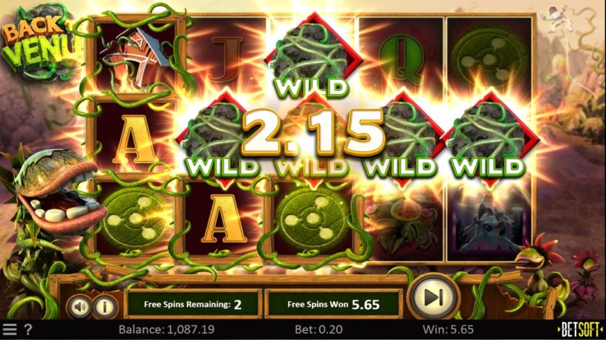 Back to Venus slot screen 4