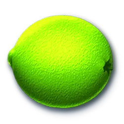 Icon 7 Bear’s Tricks