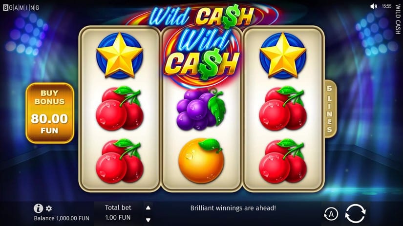 Wild Cash slot screen 1