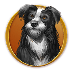 Icon 2 La Dolce Vita