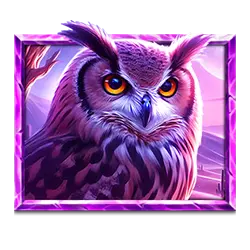 Icon 5 5 Wild Wolves