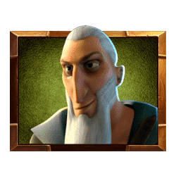 Icon 3 Vikings Go Wild