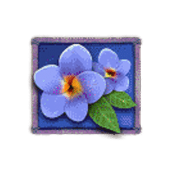 Icon 4 Lady Lava Mini-Max