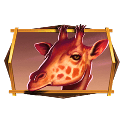 Icon 5 African Quest