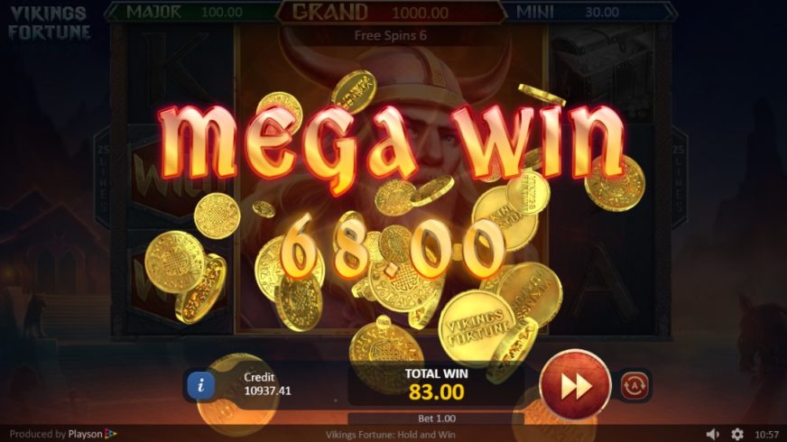 Vikings Fortune: Hold and Win slot screen 6