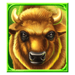 Icon 3 Into the Wild Megaways