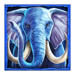 Icon 3 The Jungle Empire