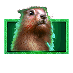 Icon 5 Buffalo Sunset