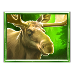 Icon 2 WolfWood PrizeTower